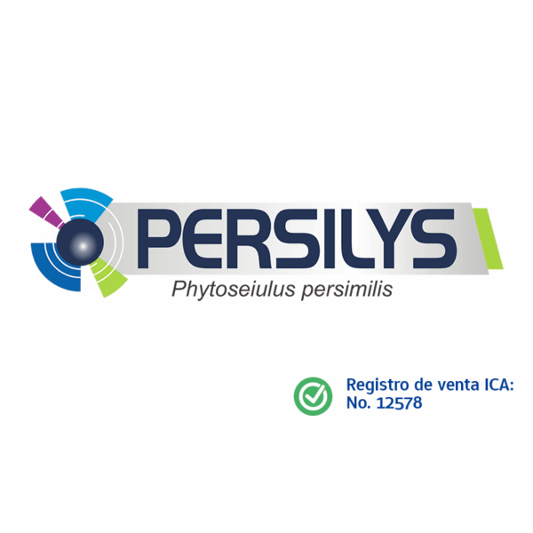 Persilys