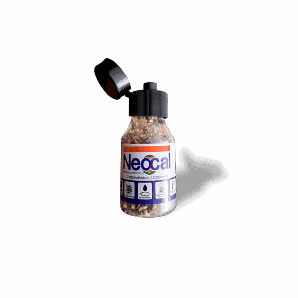 Neocal