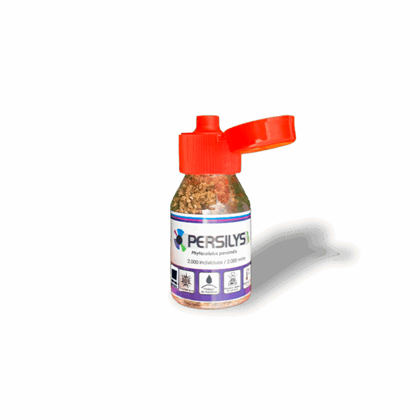 Persilys