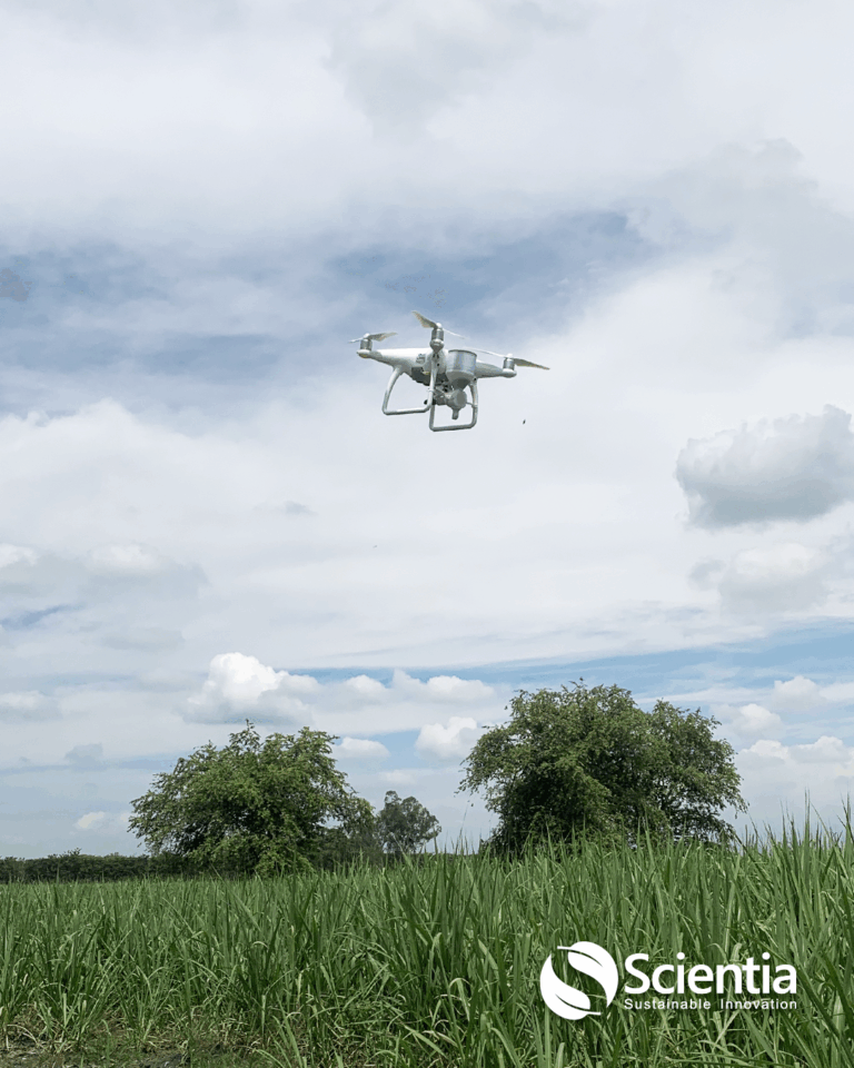 Dron